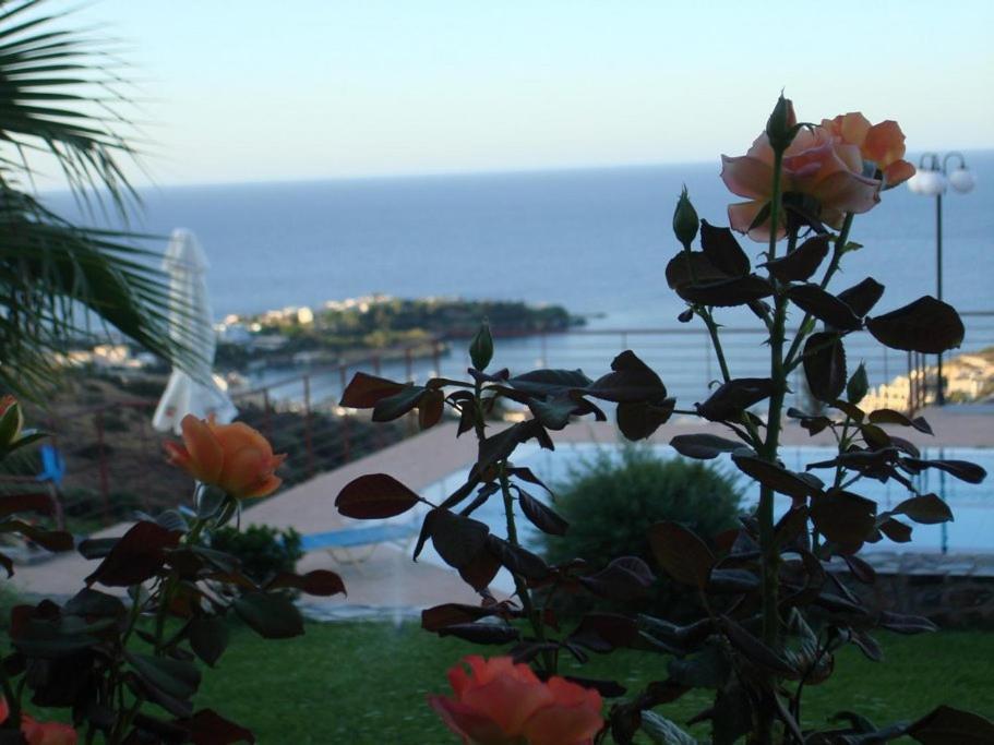 Agnanti Villas Agia Pelagia  Bagian luar foto